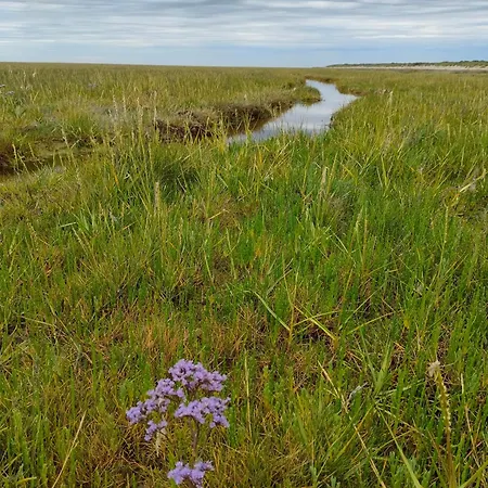 بيت للعطل Coeur De Baie