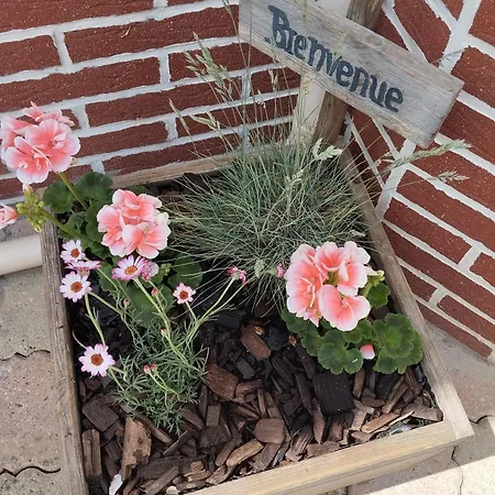 Hébergement de vacances Cœur De Baie *